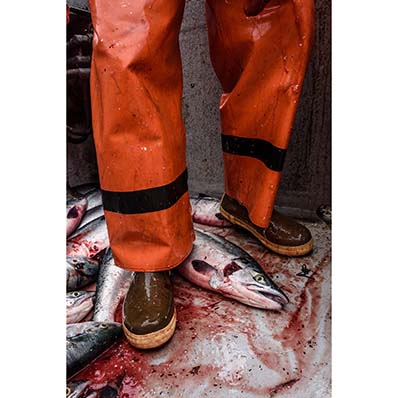 【期間限定SALE】XTRATUF® - 15" LEGACY BOOT - LEGACY COLLECTION